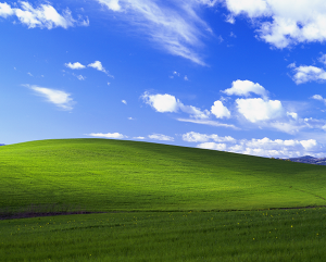 Go outside!